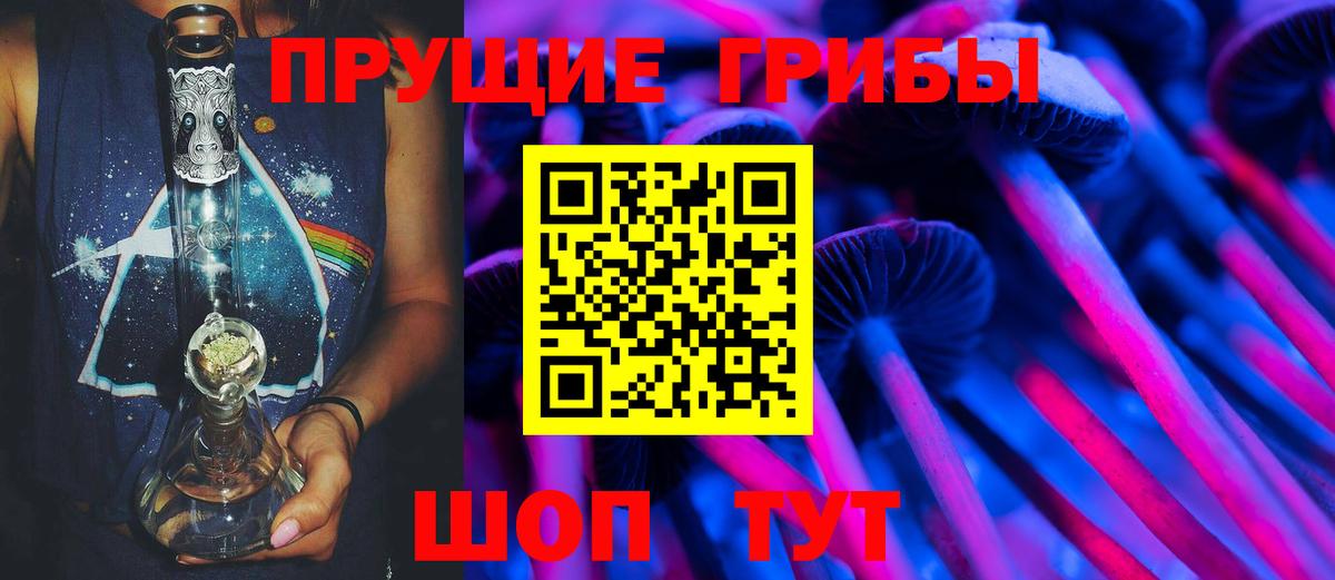 наркотики  Вход с VPN  Кировск  Псилоцибиновые грибы GOLDEN TEACHER 