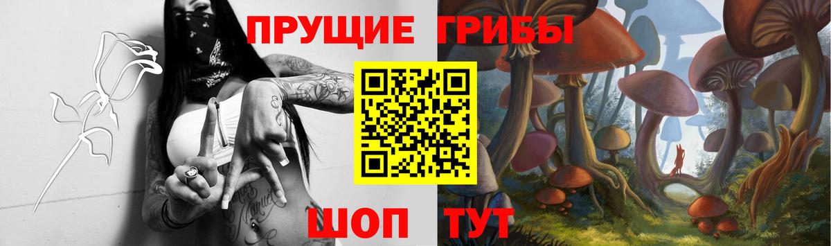 Псилоцибиновые грибы MAGIC MUSHROOMS Кировск
